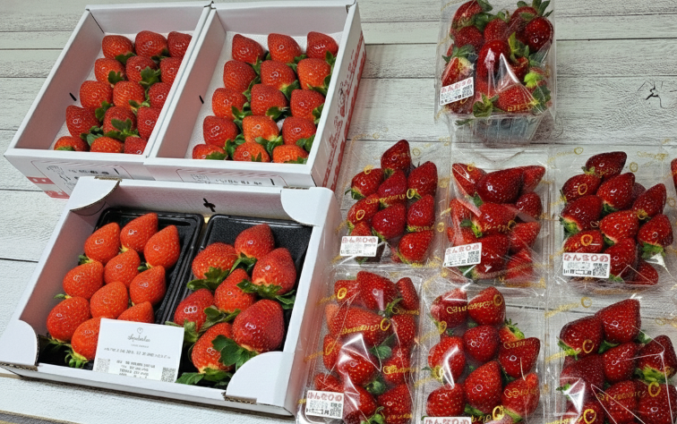 いちご販売